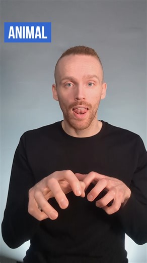 3.2K views · 149 reactions | How to sign Animal, Rhino, Giraffe and Gorilla in British Sign Language (BSL). Signs for animals in BSL are typically reflective of a common trait or feature associated with that animal. #BritishSignLanguage #BSL | Commanding Hands | Facebook