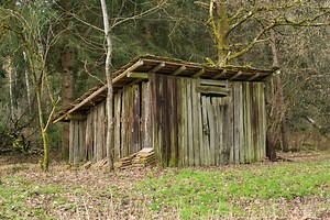 Food and Agri Executive Management Program | 10times