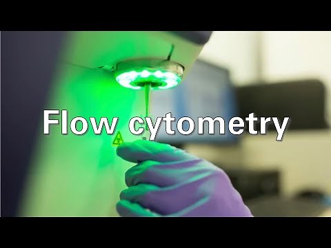 Immunology Techniques - Flow cytometry and FACS