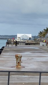 Once again the heaving line is sent ashore…￼ | Port Bermuda Webcam