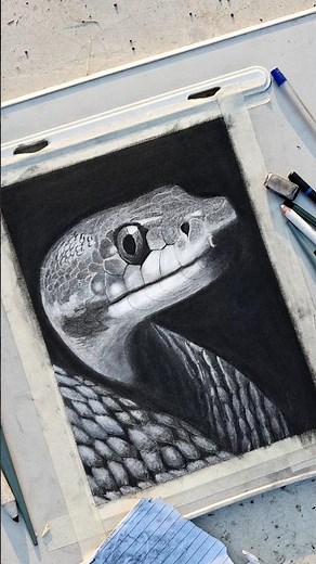 Hyperrealistic Snake Drawing 🤯|Easy Charcoal Drawing #realisticdrawing #snake #charcoaldrawing #art