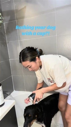 Still Bathing Your Dog with a Cup?