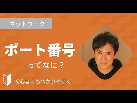 What is a port number? | A simple 3-minute explanation with illustrations