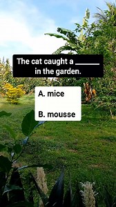 #English #englishlearning | Let'slearn