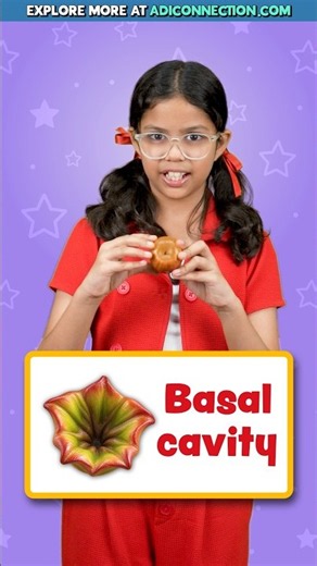 What’s Inside an Apple? 🍎 Learn Apple Parts Names in English | Kids Adi Connection #shorts