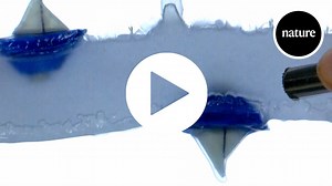 The weird physics of levitating liquids and upside-down buoyancy