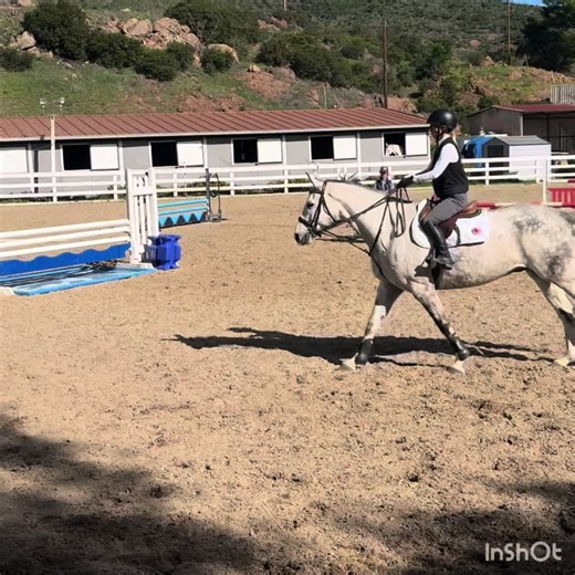 Louie was amazing in our first lesson of 2026 at LKH ✨ Such a fun and exciting day! #hunterjumpers #louie #brotherlouie #lessons #horsesontiktok