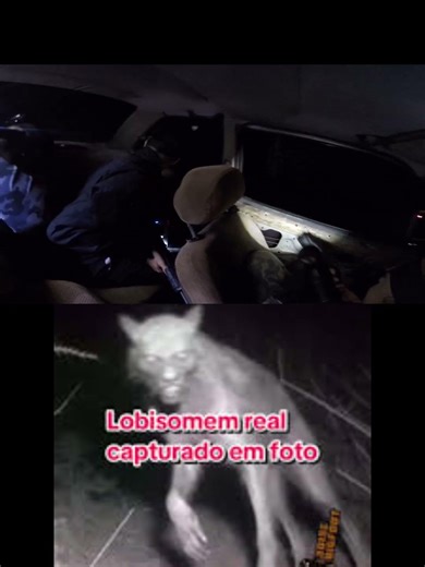 ja viu um lobisomem