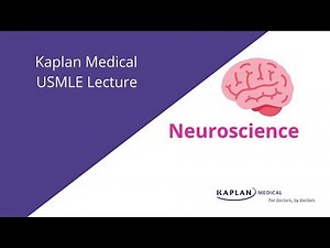 USMLE Prep: Neuroscience Lecture