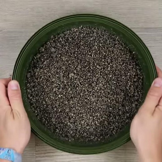 CARPologyTV - How to make particles PVA friendly