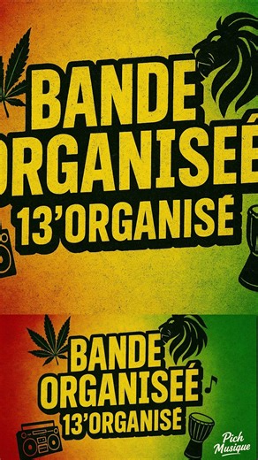 Bande Organisée Version Reggae