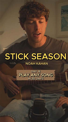 Day 16/30: How to play Stick Season - easy guitar tutorial