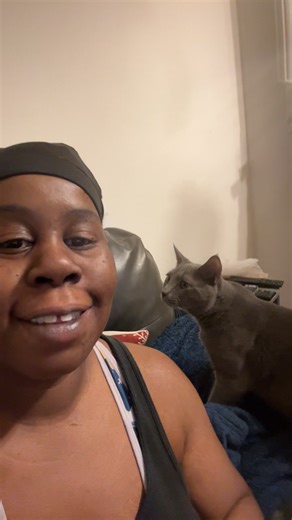 Understanding Cat Behavior: The Loud Yells