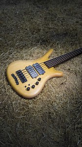 Warwick Bass Vibes! 🎶🎸 From studio sessions to jamming in the great outdoors, our basses fit right in wherever the music takes you 🌟🎵 Where will your Warwick bass take you next? 🌍 #warwick #warwickbass #thesoundofwood #madeingermany | Warwick Basses