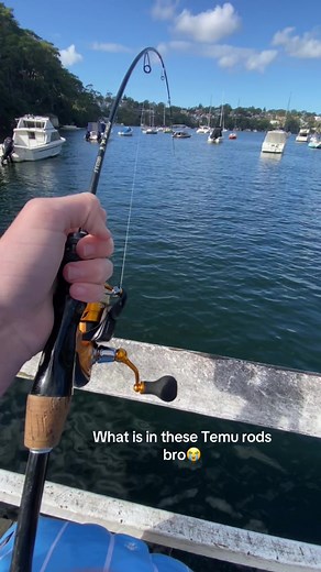Exploring Temu Fishing Rods in Australia