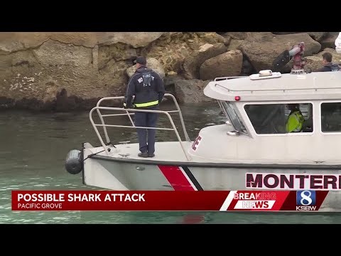Search underway for missing swimmer in possible shark attack in Pacific Grove