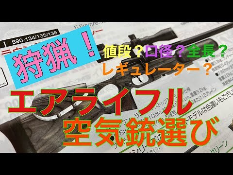 Hunting! Air rifles: Choosing an air gun. Caliber? Price? Overall length? Regulator?