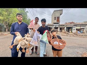 Buying Pet From Every Shop 😍||Challenge vlog ||