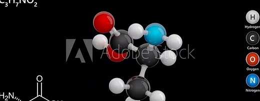 Alanine or Ala. Non-essential amino acid. Animated 3D model of a molecule. Molecular formula: C3H7NO2. Chemical model: Ball and stick. Black background. 3D rendering. Seamless loop.