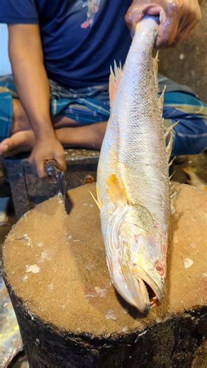 Amazing poha fish cutting skill in Bangladesh fish market by expert cutter #shorts
