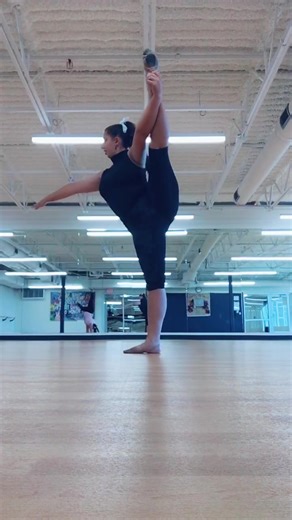 Monday Dance Video Compilation | Lemonke, Stinky Monkey, and More!