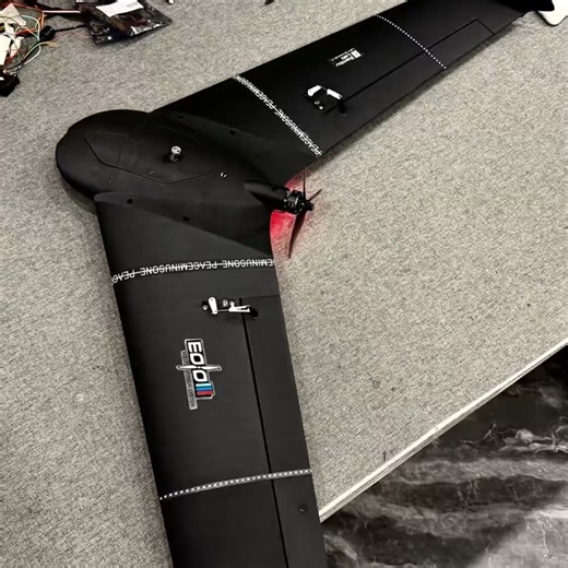 modeltrainee on Instagram: "Good products don't need too much fancy language to introduce #3Dprinting #modelaircraft #fixedwing #drone #deltawing"