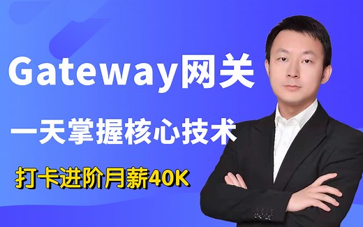目前B站唯一把Gateway网关讲透的视频教程！一天即可掌握Gateway！