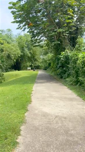 44K views · 1.7K reactions | My weekend Vlog | Sarkin Dariya | Facebook