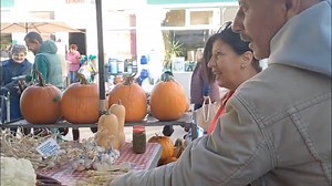 29K views · 529 reactions | Susțineți producătorii locali! Azi, Balla Katalin din Moldovenești, care vine în Piața Centrală din Turda. | TurdaNews | Facebook