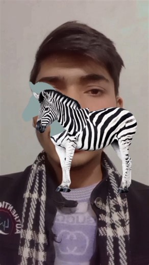 MR SOKEEN on Instagram: "Zebra ke sar Ko Sahi jagah Roko💯. #reels #sokeen7060 #Zebra #puzzle #puzzles #puzzletime #puzzlelover #jigsawpuzzle #puzzleaddict #puzzlesofinstagram #jigsaw #mainananak #mainanedukasi #pieces #brainteaser #game #jigsawpuzzles #fun #games #puzzlegram #rubik #rubikscube #x #quiz #puzzler"
