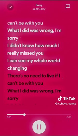 Summer Vibes Songs: Sorry by Joel Corry