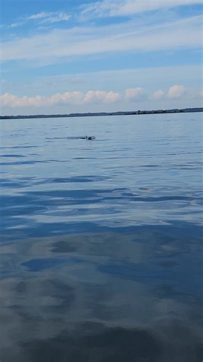 Bear Mccombs on Reels