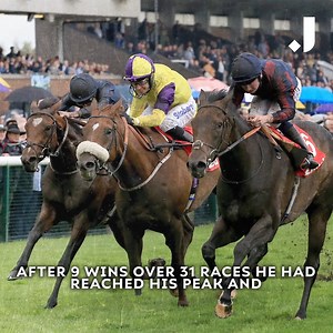 He didn't sell as a foal and went on to win three Group 1s 😮 Ahead of the Betfair Sprint Cup enjoy the story of a popular winner, The Tin Man 🙌 | The Jockey Club