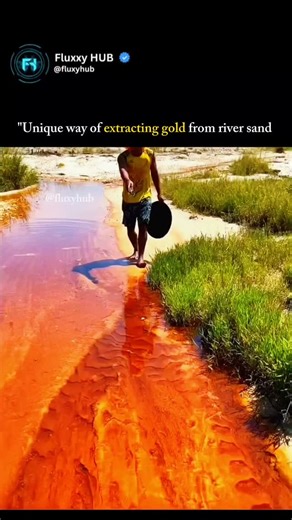 Fluxy HUB| Technology| History| Science on Instagram: "In certain regions, rivers with reddish or iron-rich sand can carry fine particles of gold, washed down from upstream mineral-rich rocks over time. One fascinating and eco-friendly method to harvest this gold doesn't require chemicals or heavy machinery. Local miners or prospectors collect the red river sand and use gravity separation techniques, such as gold panning or sluice boxes. Since gold is denser than the surrounding sediment, it set