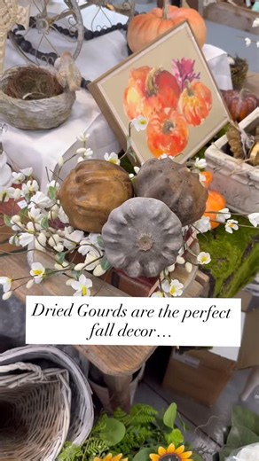 ✨🍂 Rustic Charm That Lasts 🍂✨ Dried gourds are a timeless choice for fall decorating, especially in a French country setting. Their natural textures and earthy tones pair beautifully with warm woods, antique linens, and soft autumn light. Best of all, when kept in a cool, dry place, gourds can last for many years—making them a sustainable and elegant décor piece you can enjoy season after season. A simple way to bring authentic countryside charm into your home, year after year. 🌾🎃 #FrenchCou