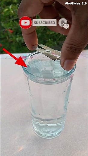 Surface Tension | Floating blade on the water | Simple science experiments #experiment