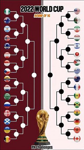 World Cup 2022 Final Recap 🏆🇦🇷 Legendary Victory #shortsfeed #shorts #argentina #worldcup #messi