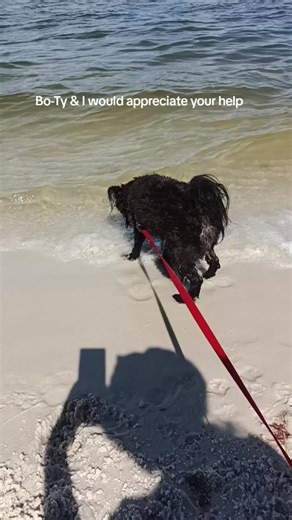 Bo-Ty & I would love to continue traveling in our van full time again but it has become too expensive for us to continue. I have no income at the present moment & have been living on savings for over a year now. We are down to our last $300. we would appreciate your help.