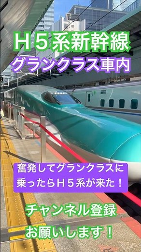 【🟣 Gran Class!】H5 Series Hayabusa Gran Class Cabin and Service - Tohoku Shinkansen & Hokkaido Shi...