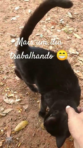 26 de março de 2026