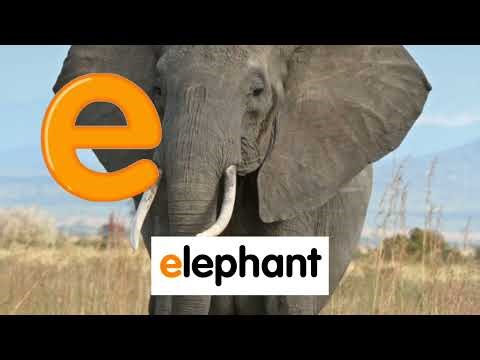 Starfall - Alphabet - letter E - Best learning for kids - listening, reading, phonics, sounds