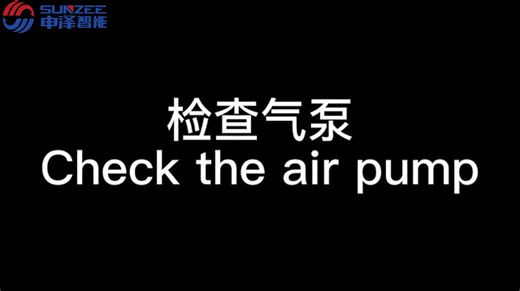 Diagnostics: Air Pump Check