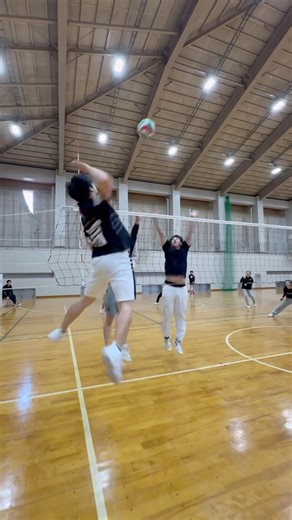 [Volleyball] Mixed Tournament🤣 #wisteria #volleyball #volleyball #haikyuu #Haikyuu #fyp #fyp