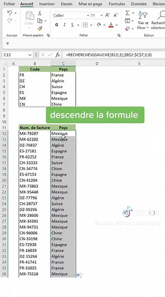 Apprend à utiliser la fonction recherchev sur une chaîne de caractères manipulé. #excel #astuce #apprendre #learnontiktok