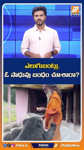 ఎలుగుబంట్లు, ఓ సాధువు.. బంధం చూశారా? #bears #wildlife #sadhu #shorts
