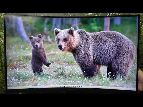 How to change the response time on MSI MAG 321CUP