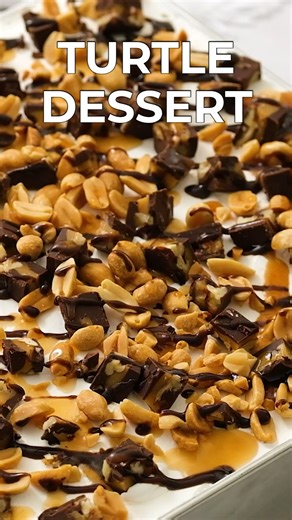 3.3K views · 45 reactions | TURTLE LASAGNA! Recipe: https://princesspinkygirl.com/turtle-lasagna-dessert/ | Princess Pinky Girl | Facebook