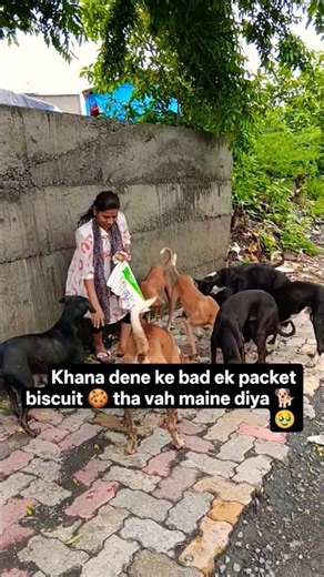 cute dog#shortvideo #puppy #doglover#streetdog