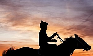 Ranking of all the 2025 Preakness Stakes horses, including Kentucky Derby favorite Journalism