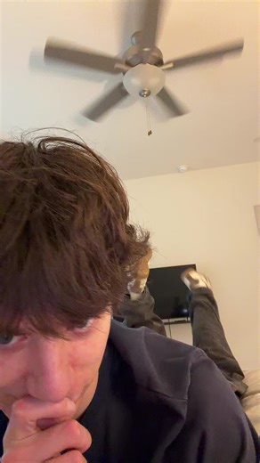 Siege might be cooked #greysoncars #ooziie #ooziiecharm | siege